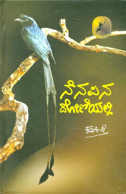 Nenapina Doniyalli