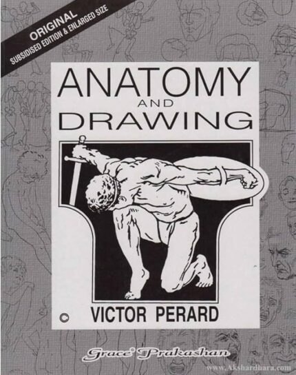 Anatomy