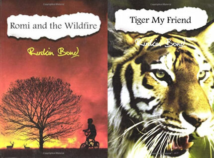 Romi And The Wildfire/Tiger My Friend